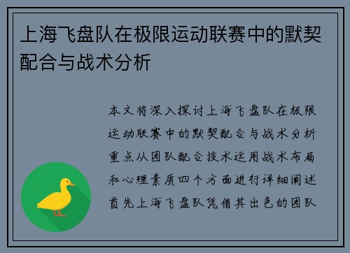 上海飞盘队在极限运动联赛中的默契配合与战术分析